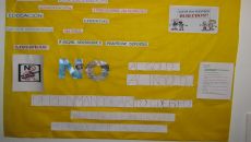 9IMG_0071.JPG
